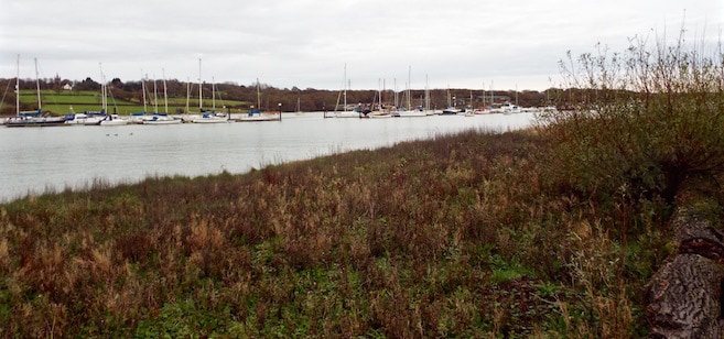 Medina Estuary high water wader roost site