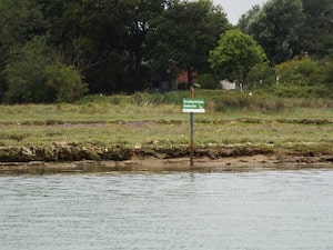 Saltmarsh monitoring